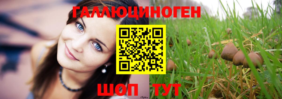 Галлюциногенные грибы GOLDEN TEACHER Великий Новгород